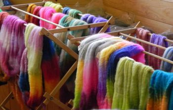 Beg Spin and Dyeing with Deb Jones at Sievers