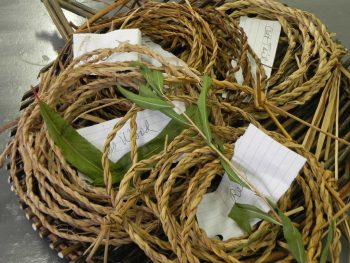 Natural Fiber Baskets Cordage