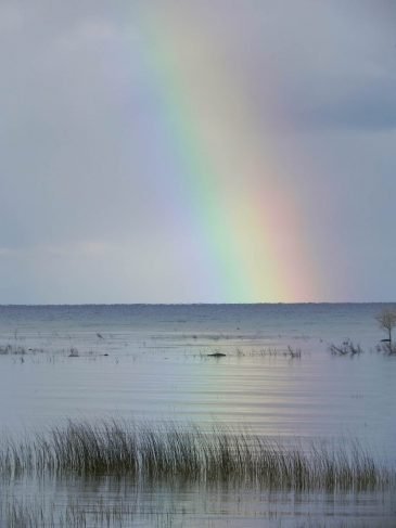 Lake-Michigan-rainbow2