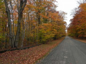 Swenson-Road-Washington-Island