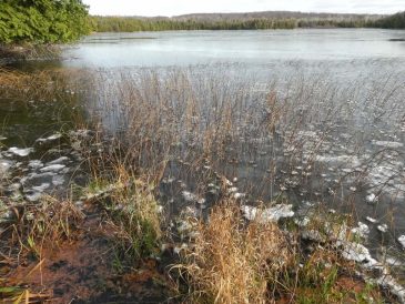 November-Little-Lake-ice