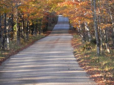 Fall East Side Road