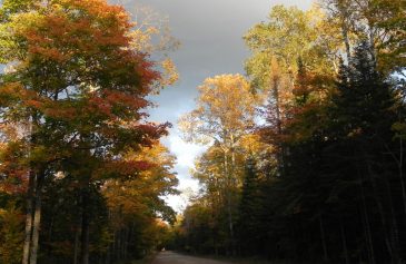 October Michigan Road