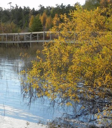 Late October Jackson Harbor Ridges