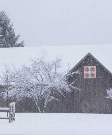 November 9 barn